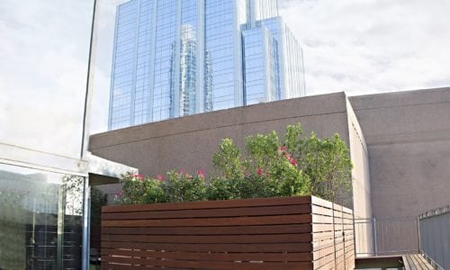 Ipe Commercial Downtown Austin