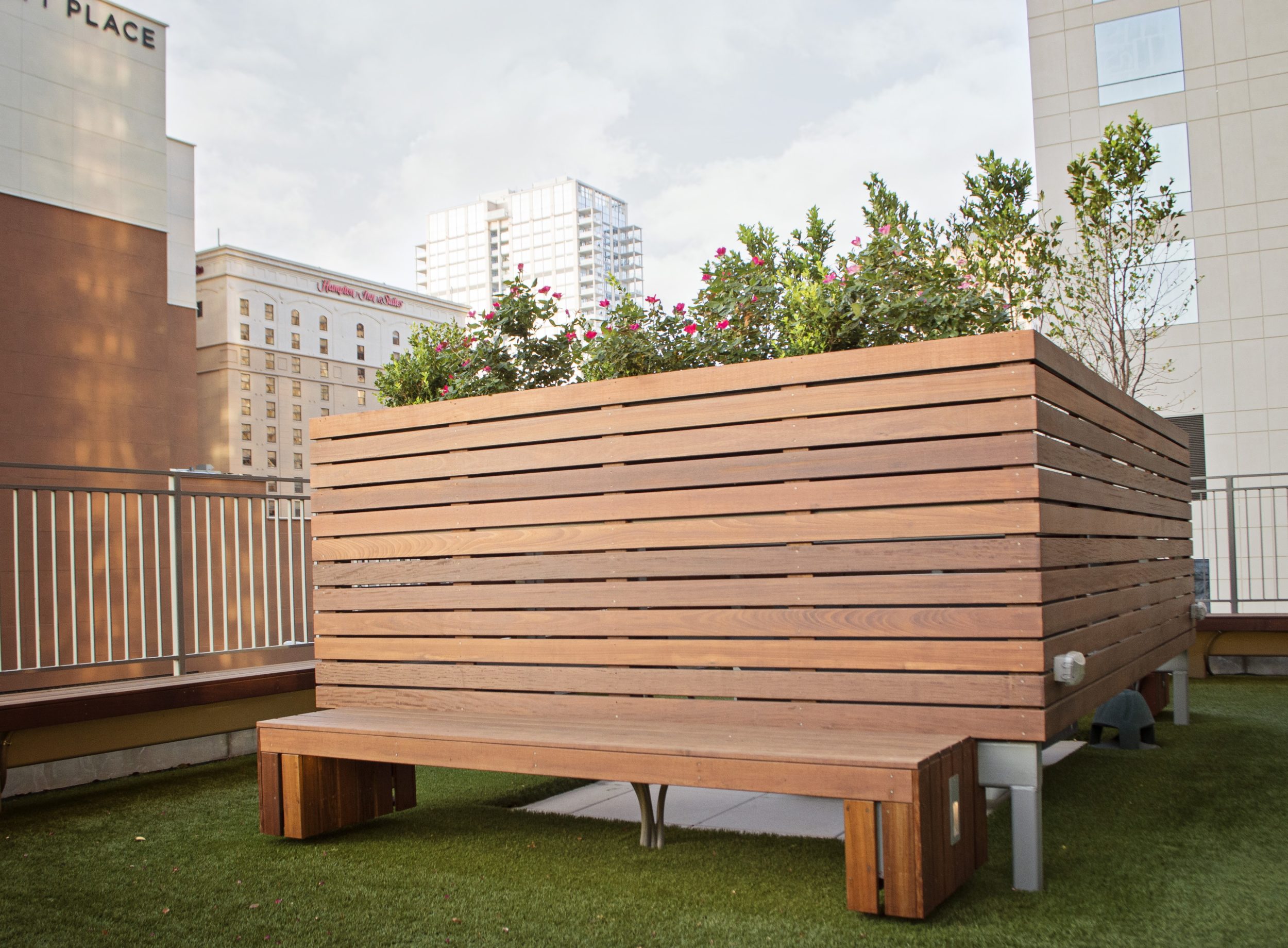 Ipe Commercial Downtown Austin